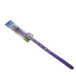 Purple studded dog collar